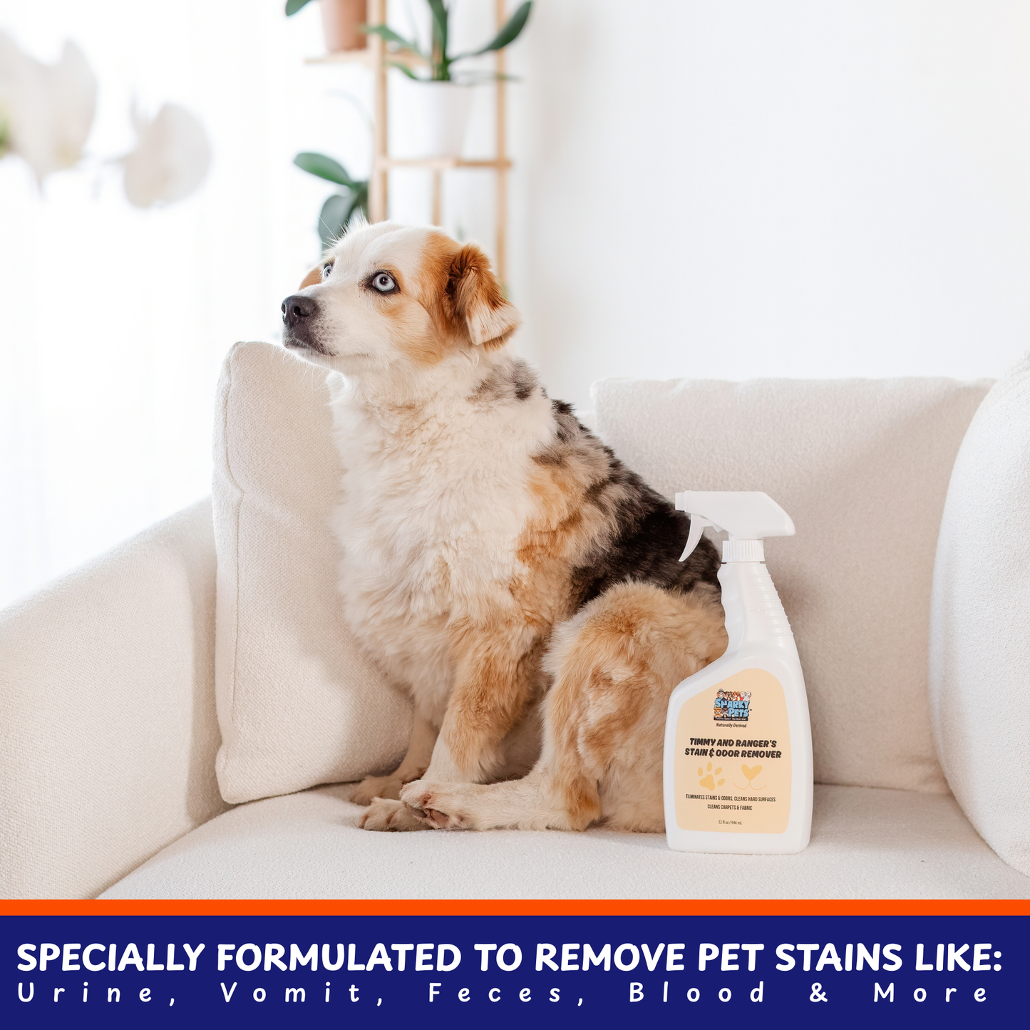 32oz Pet Stain & Odor Remover