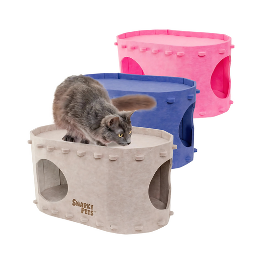 😾 From Overstimulated Menace to Peaceful Loaf: Liza’s Cat Cave Awakening