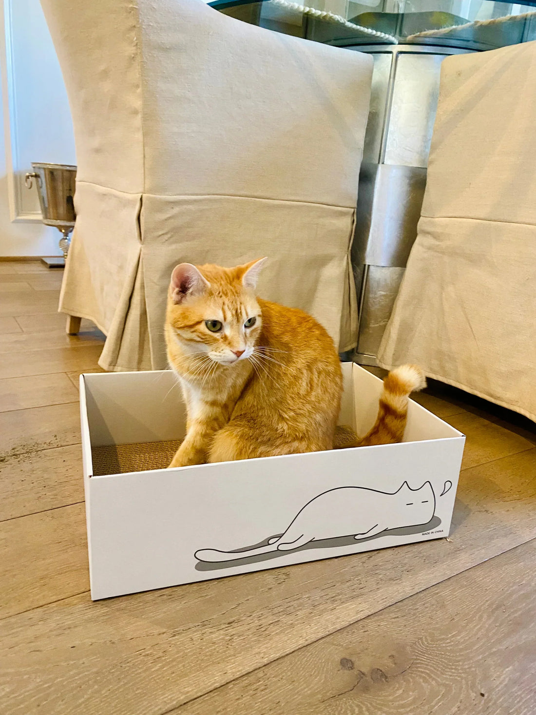 🧡 Sexy Liza Was Bored, Bitter, and Kind of a Brat - Until the Cat Tunnel Changed Everything