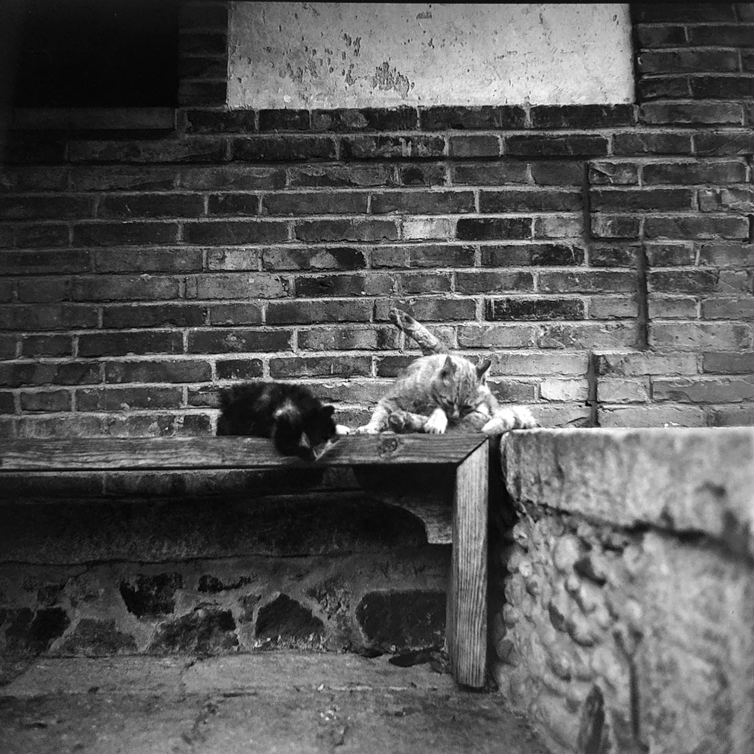 a black and white photo of a cat sleeping on a bench