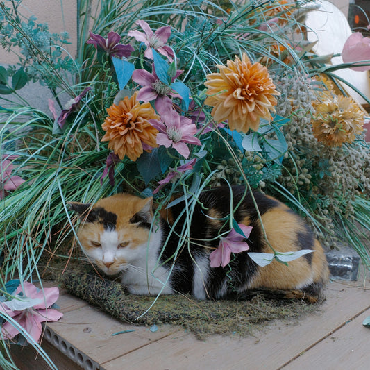 Two cats resting among artificial plants and flowers.