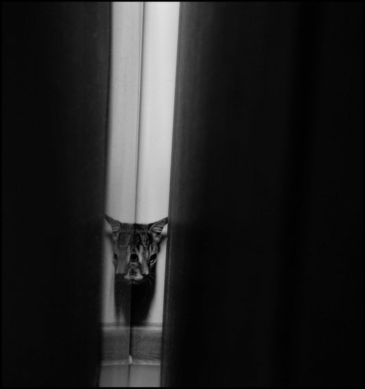 Partially unzipped zipper against a dark background.