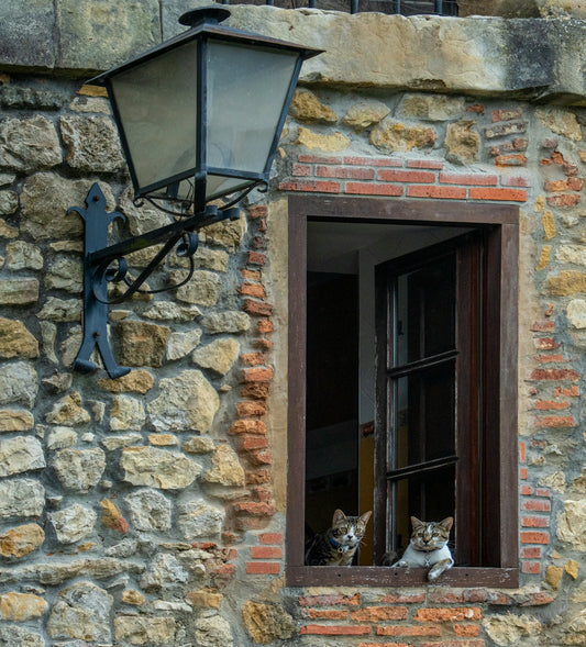 Two tabby cats looking out from an open window in a stone wall