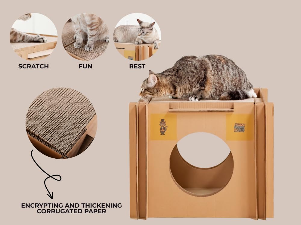 Mister The Cat’s Snarky Pets Cardboard Cat House