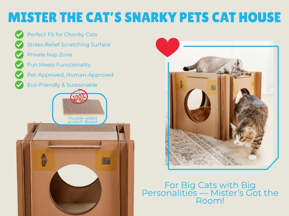Mister The Cat’s Snarky Pets Cardboard Cat House