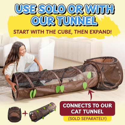 Sexy Liza’s Pop Up Tent Cat Cube