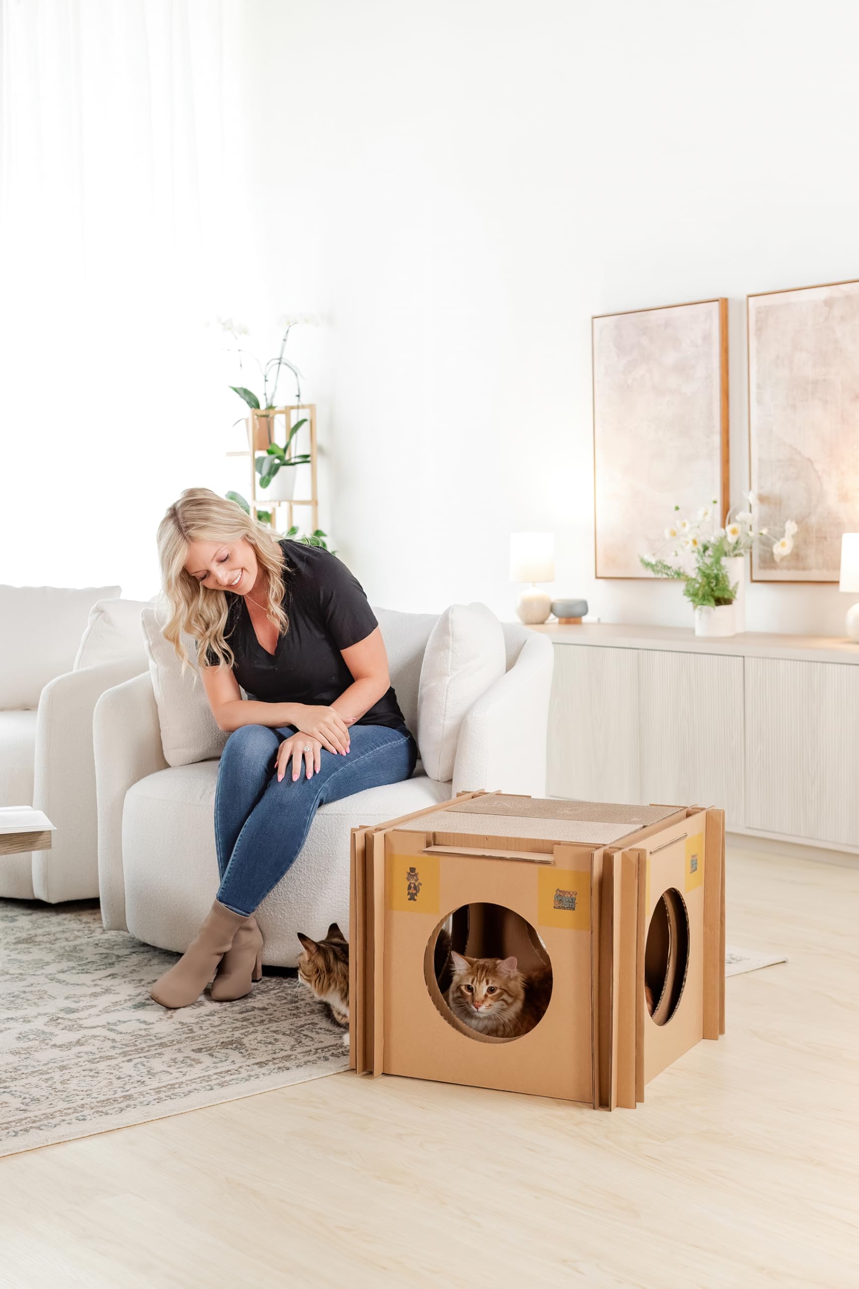 Mister The Cat’s Snarky Pets Cardboard Cat House