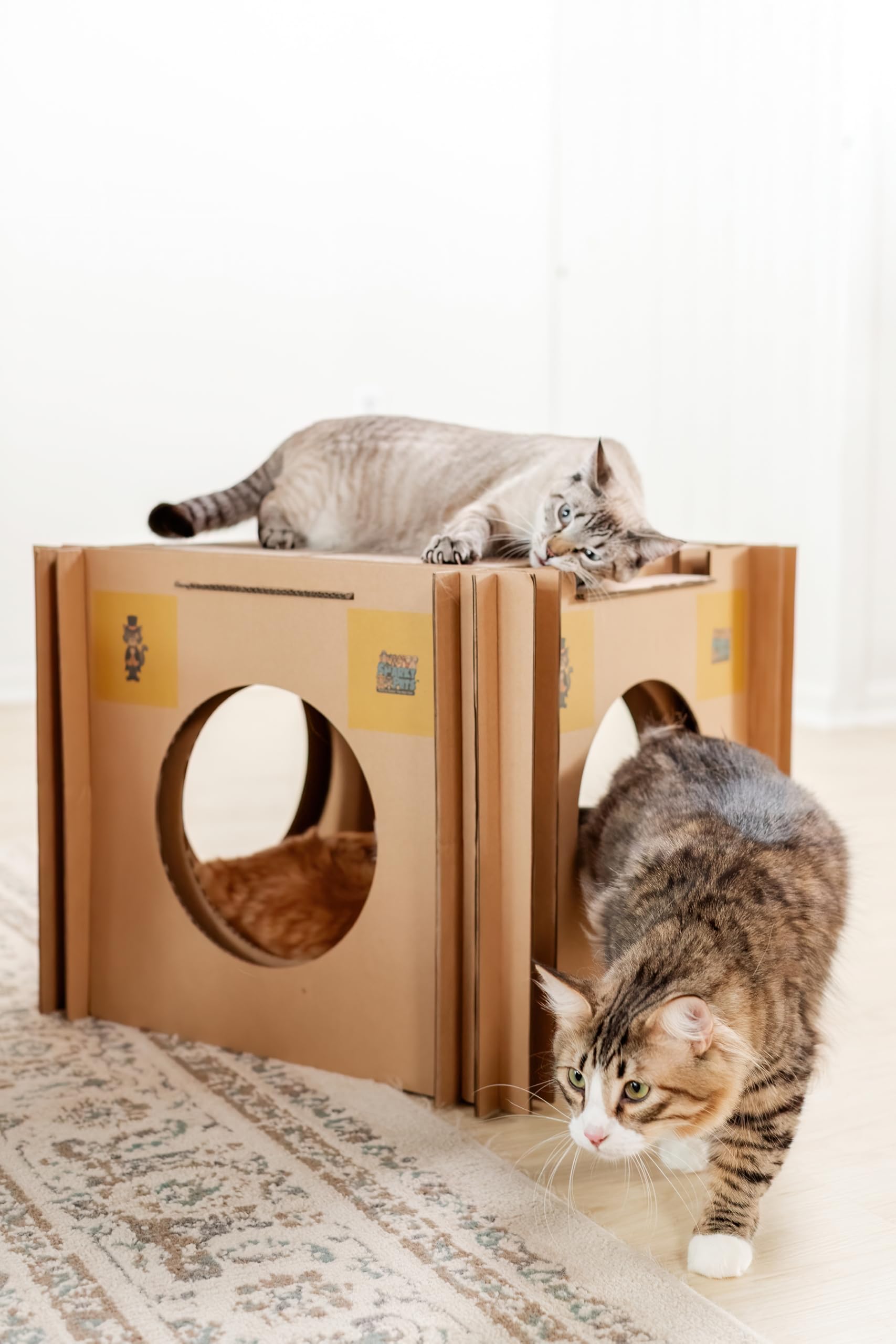 Mister The Cat’s Snarky Pets Cardboard Cat House