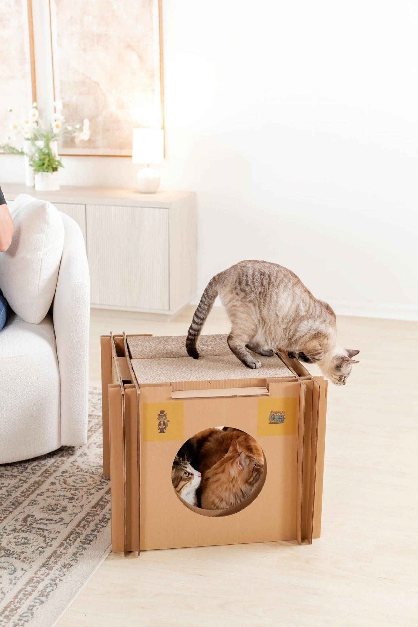 Mister The Cat’s Snarky Pets Cardboard Cat House