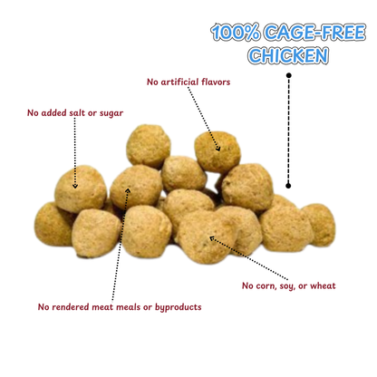 Tank’s Freeze Dried Chicken Meatball Dog Treats