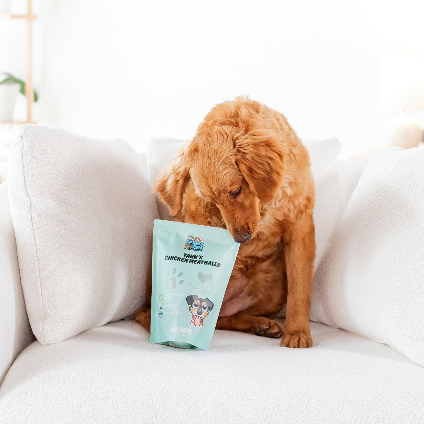 Tank’s Freeze Dried Chicken Meatball Dog Treats