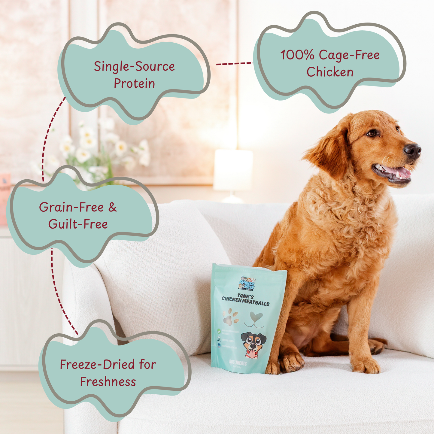 Tank’s Freeze Dried Chicken Meatball Dog Treats