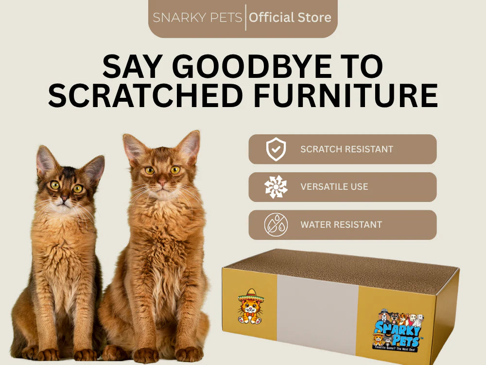 Timmy The Cat's Snarky Pets Large Cat Scratch Box