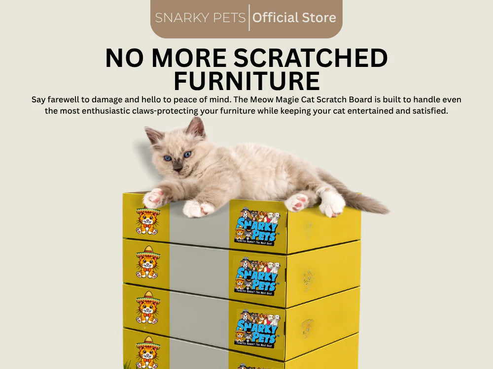 Timmy The Cat's Snarky Pets Large Cat Scratch Box