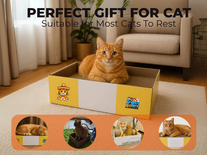 Timmy The Cat's Snarky Pets Large Cat Scratch Box
