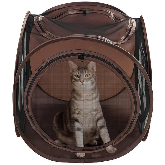 Pop up cat cube tent with cat inside