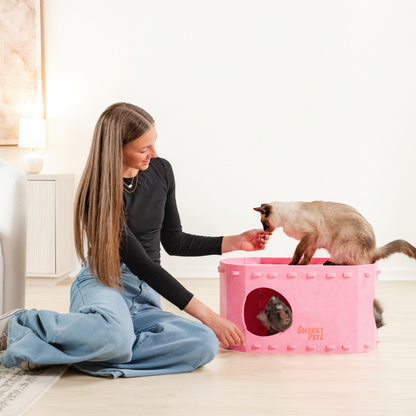 Tess & Liza Felt Cat Cave