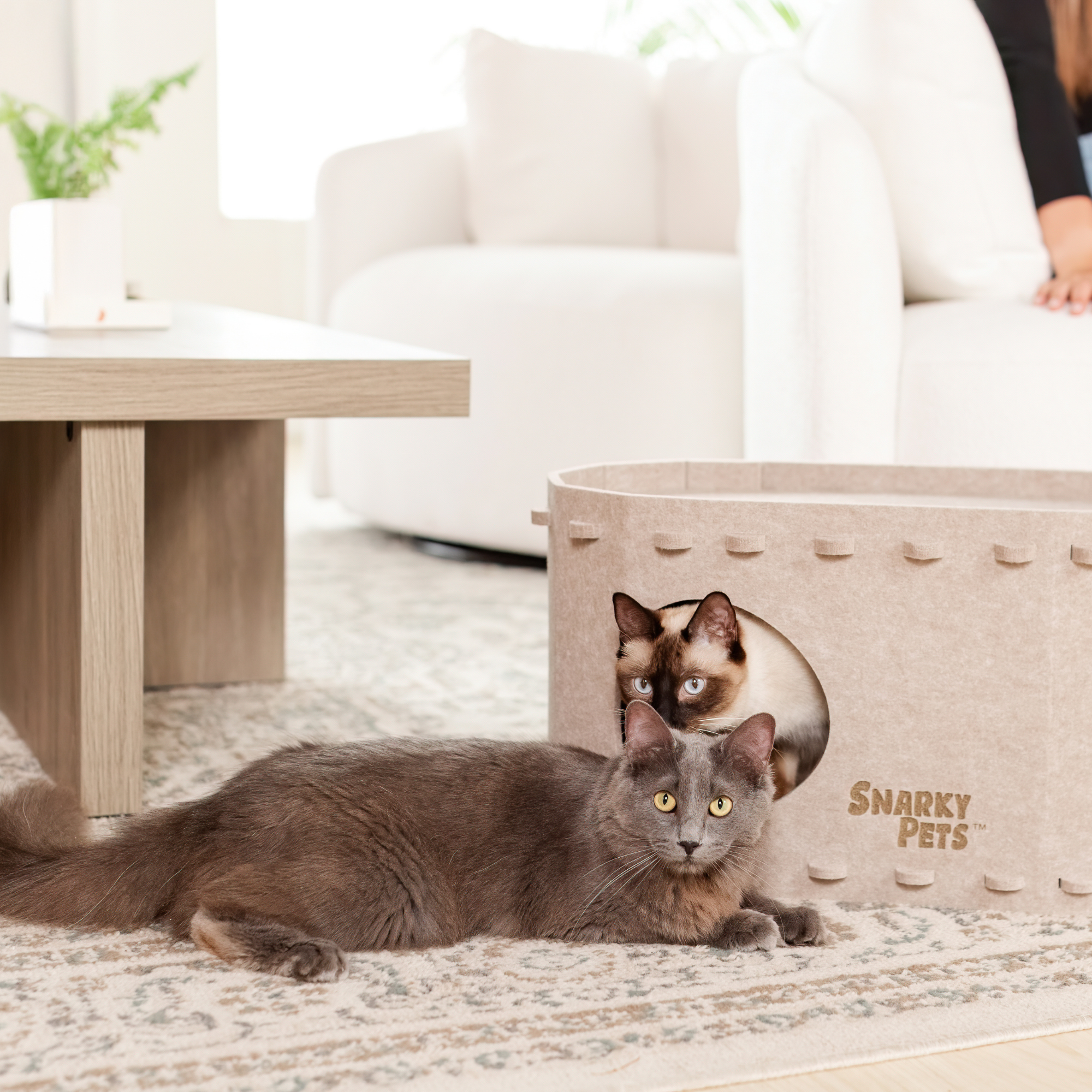 Tess & Liza Felt Cat Cave