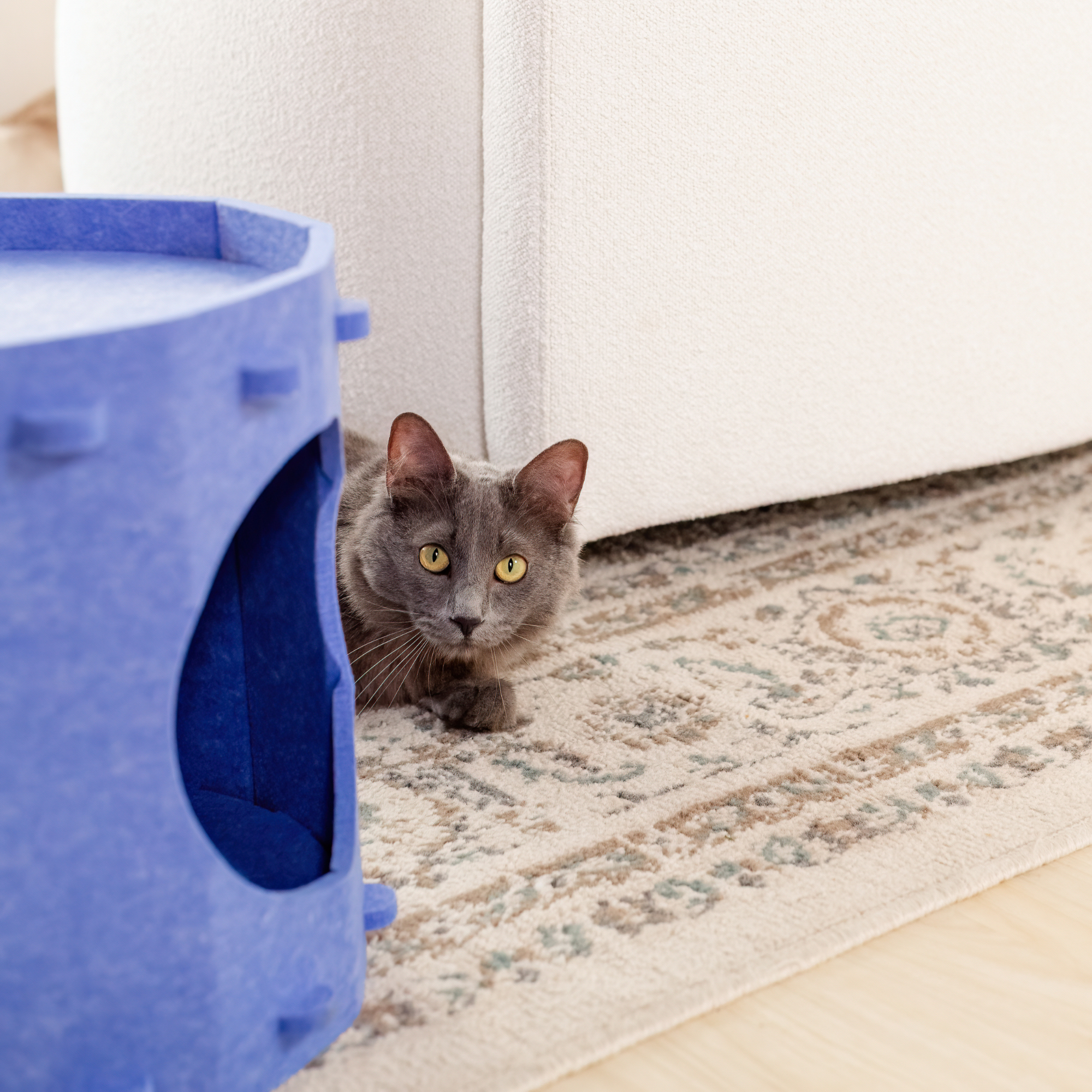 Tess & Liza Felt Cat Cave