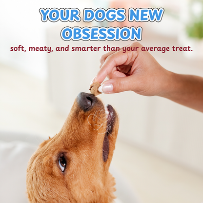 Freeze Dried Dog Treats – Beef Meatballs for Dogs