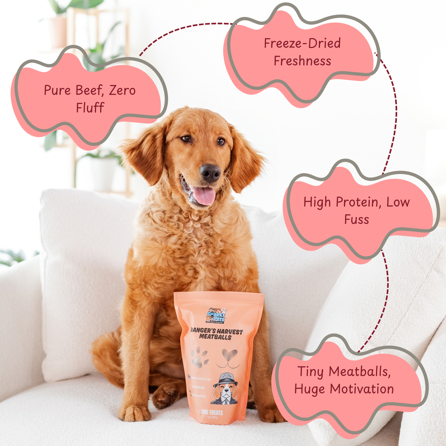 Freeze Dried Dog Treats – Beef Meatballs for Dogs