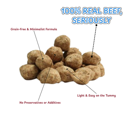 Freeze Dried Dog Treats – Beef Meatballs for Dogs
