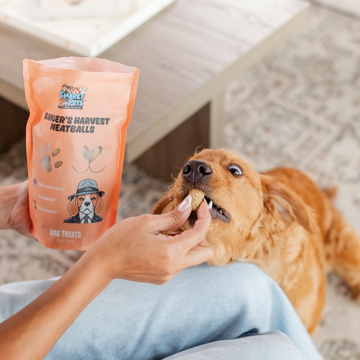 Freeze Dried Dog Treats – Beef Meatballs for Dogs