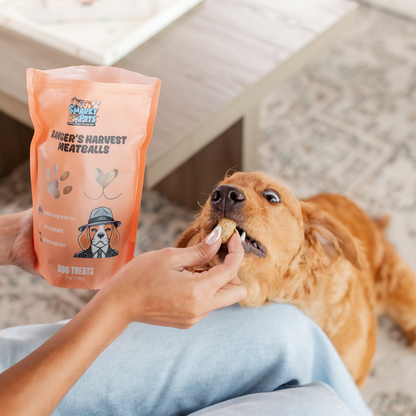 Freeze Dried Dog Treats – Beef Meatballs for Dogs