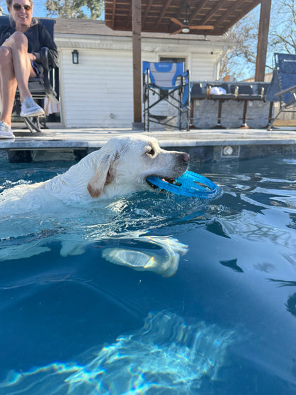 Rudy's Favorite Toy-Pet Flying Disc Dog Toy