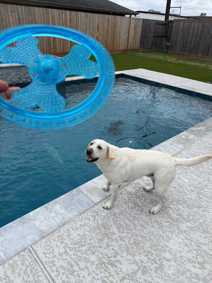 Rudy's Favorite Toy-Pet Flying Disc Dog Toy