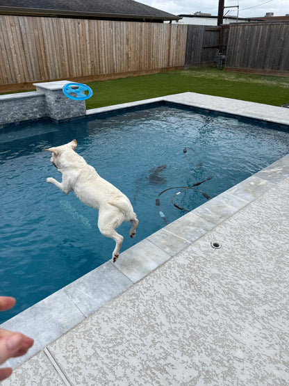 Rudy's Favorite Toy-Pet Flying Disc Dog Toy