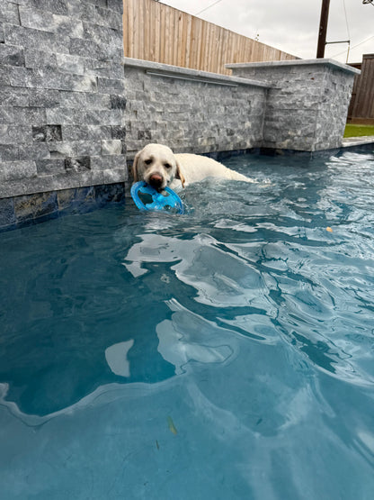 Rudy's Favorite Toy-Pet Flying Disc Dog Toy