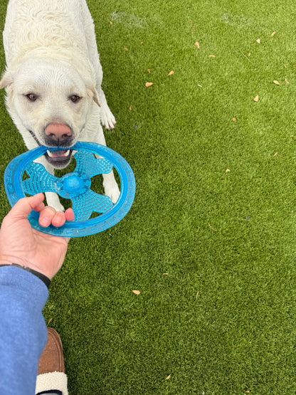 Rudy's Favorite Toy-Pet Flying Disc Dog Toy