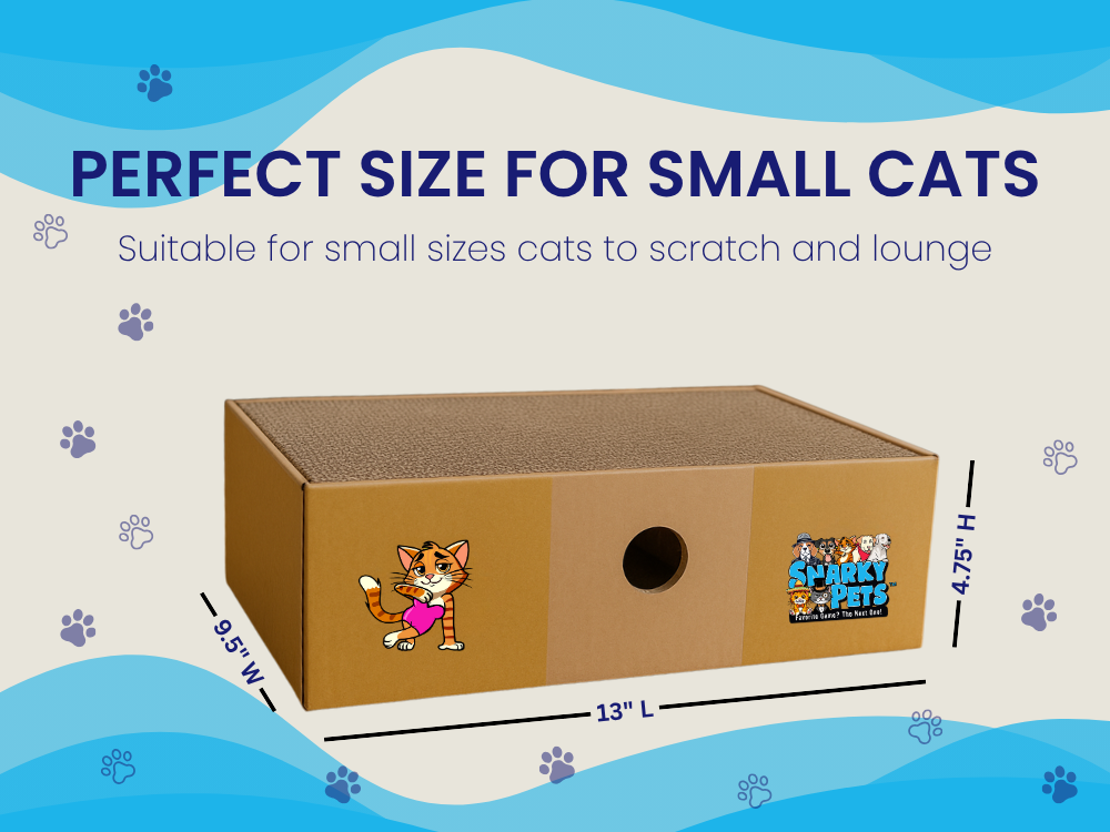 Sexy Liza's Cat Scratch Box