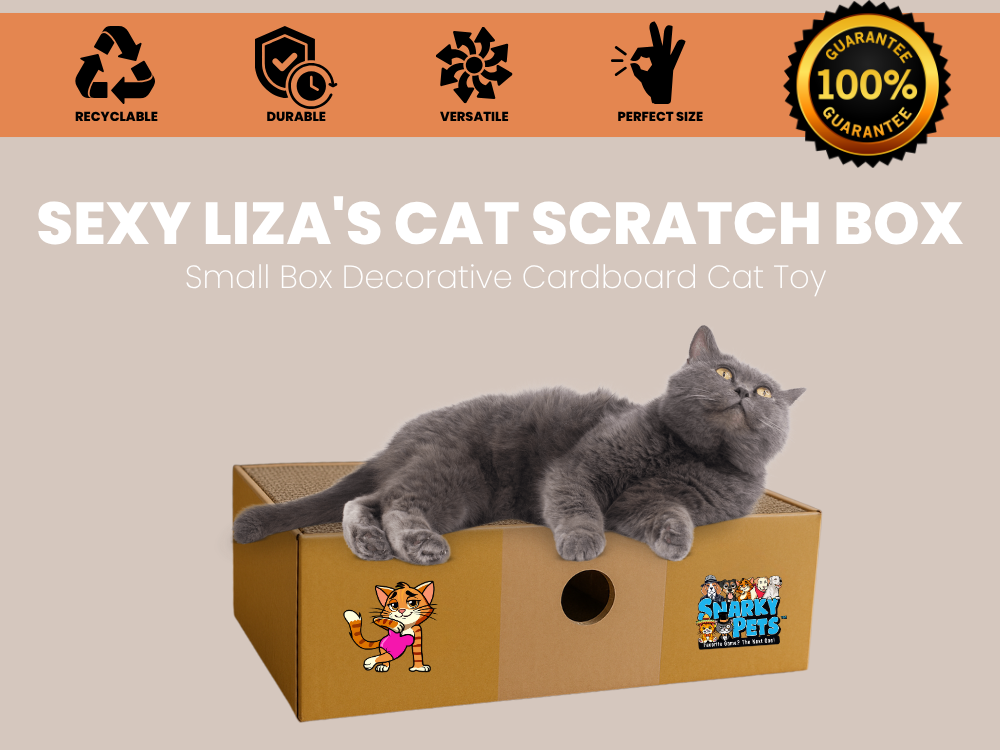 Sexy Liza's Cat Scratch Box