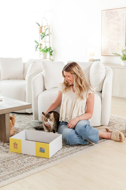 Timmy The Cat's Snarky Pets Large Cat Scratch Box