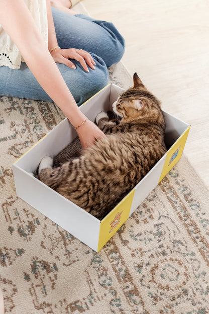 Timmy The Cat's Snarky Pets Large Cat Scratch Box