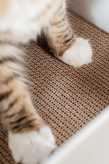 Timmy The Cat's Snarky Pets Large Cat Scratch Box