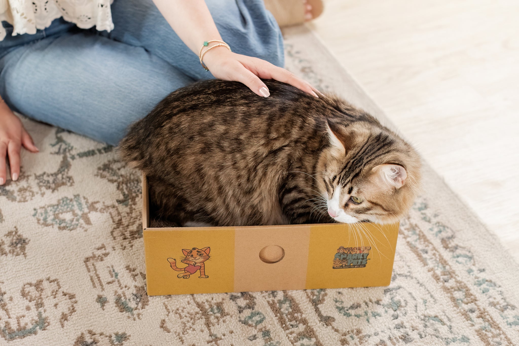 Sexy Liza's Cat Scratch Box