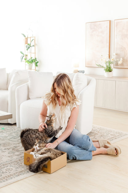 Sexy Liza's Cat Scratch Box